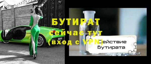 сатива Гусев