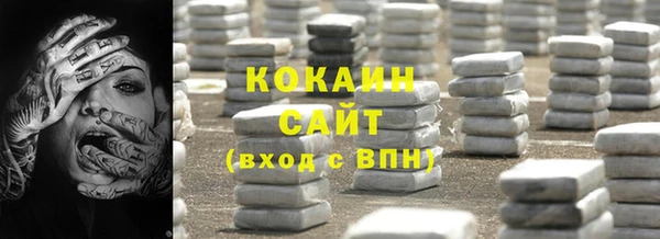 сатива Гусев