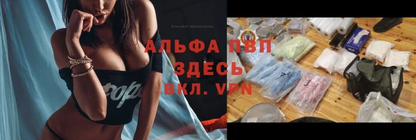 сатива Гусев