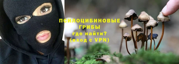 трава Горно-Алтайск
