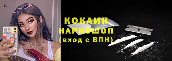сатива Гусев